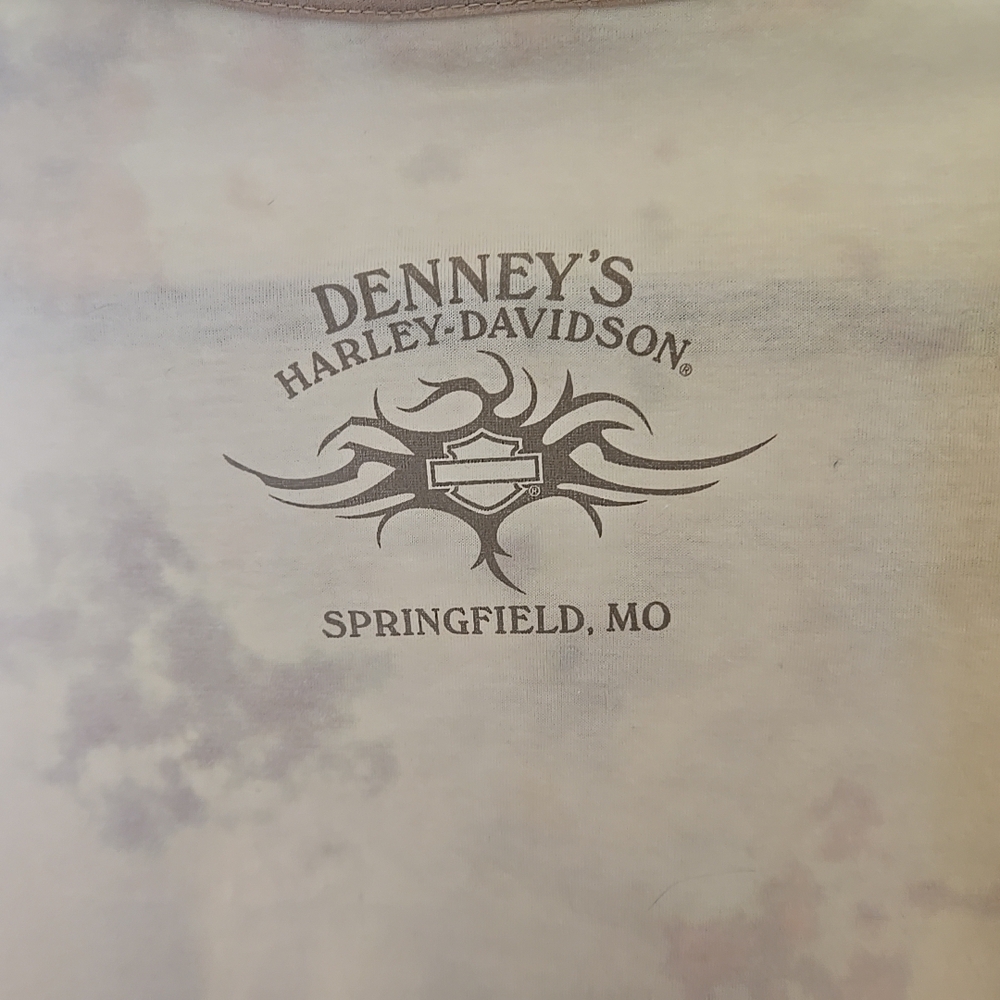 Harley-Davidson Beige Flame Graphic Shirt - Picture 9 of 10